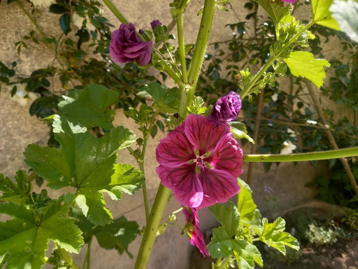 Maison Violette En Berry Aigurande Buitenkant foto